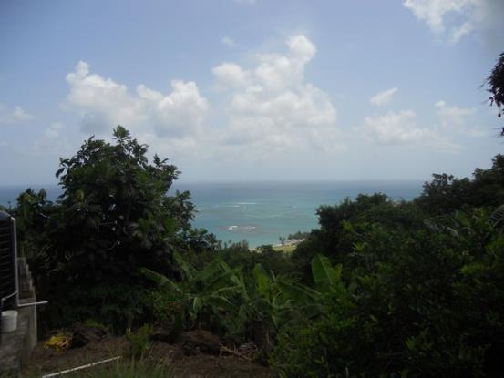 Image No.10-4 Bed House for sale