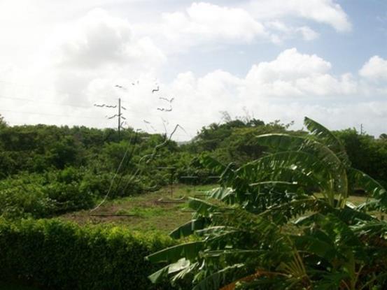 Image No.9-4 Bed House for sale