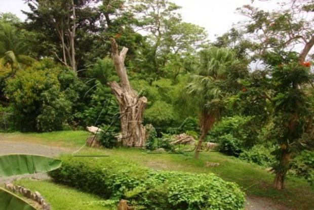 Image No.8-Maison de 4 chambres à vendre à Sainte Lucie