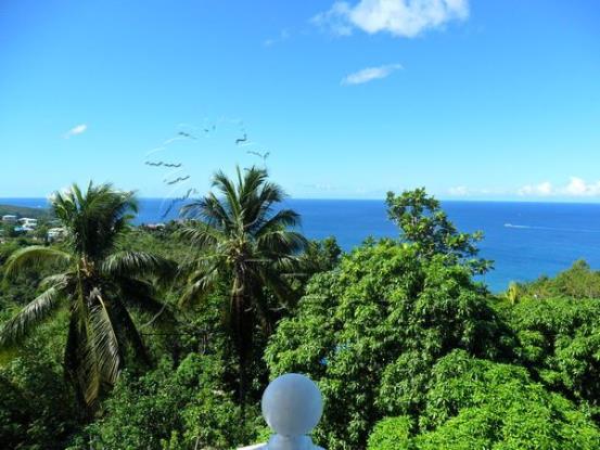 Image No.4-5 Bed House for sale