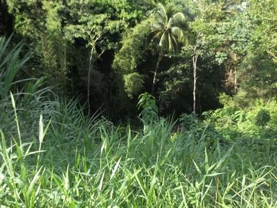 Image No.1-Land for sale