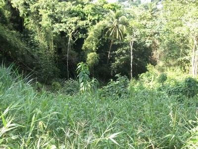 Image No.2-Land for sale