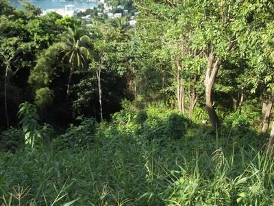 Image No.3-Land for sale