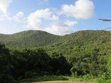 Image No.2-Terre à vendre à Marigot Bay