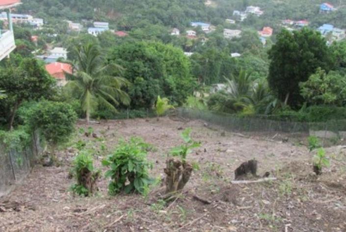 Image No.3-Terre à vendre à Gros Islet