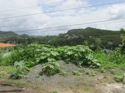 Image No.5-Terre à vendre à Gros Islet