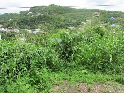 Image No.7-Terre à vendre à Gros Islet