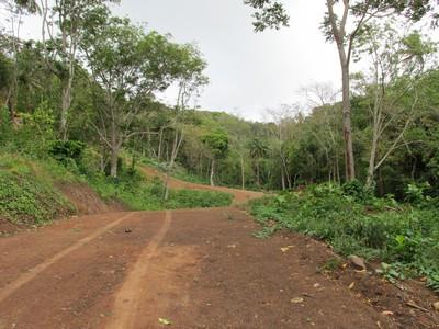 Image No.4-Land for sale