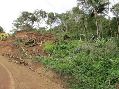 Image No.2-Land for sale