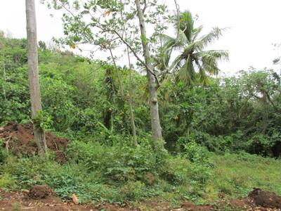 Image No.6-Land for sale