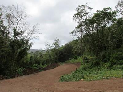 Image No.5-Land for sale