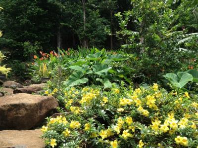 Image No.4-4 Bed Villa for sale