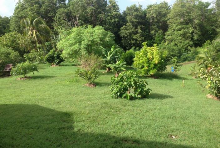 Image No.11-Maison / Villa de 3 chambres à vendre à Cap Estate