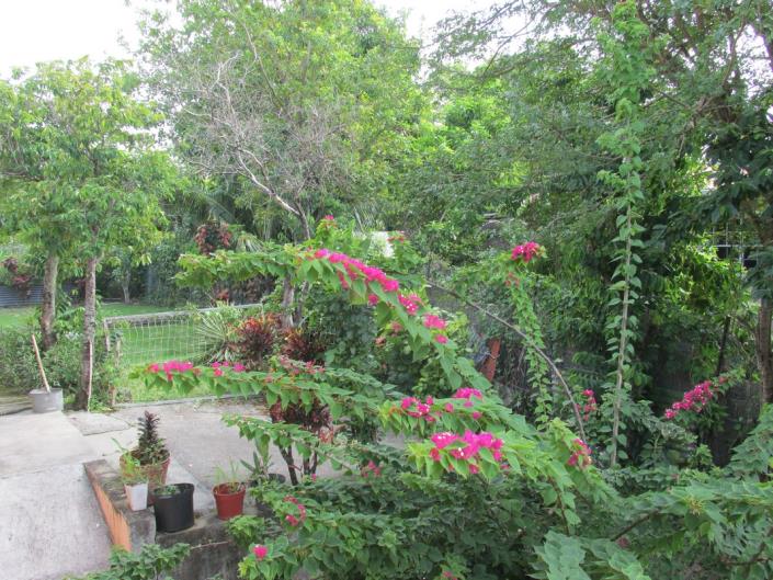 Image No.3-Maison / Villa de 6 chambres à vendre à Marisule