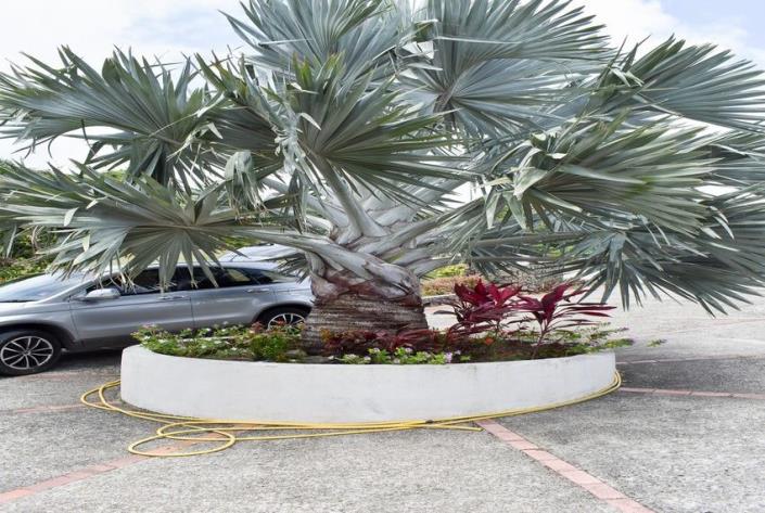 Image No.12-Maison / Villa de 4 chambres à vendre à Cap Estate