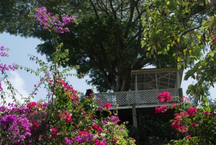 Image No.3-2 Bed House for sale