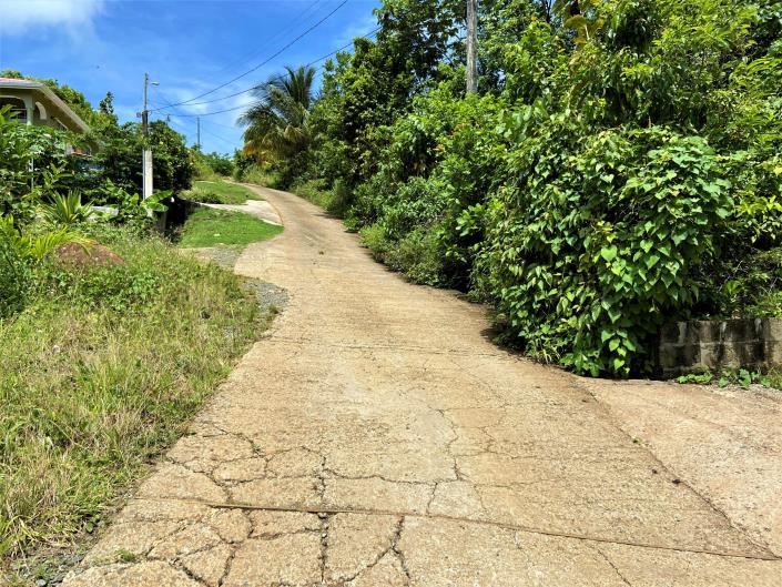 Image No.5-Terre à vendre à Babonneau