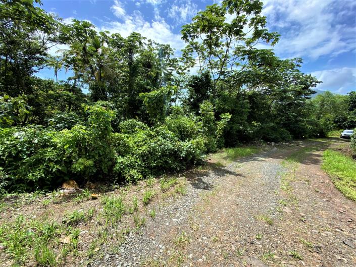 Image No.2-Terre à vendre à Babonneau