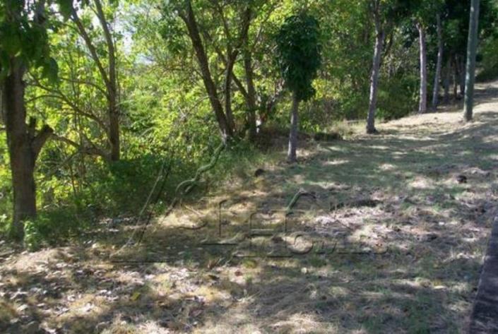 Image No.2-Terre à vendre à Micoud