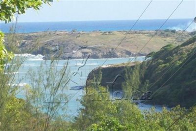 Terre à vendre à Micoud