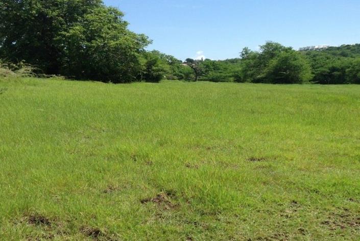 Image No.6-Terre à vendre à Cap Estate