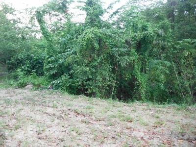 Image No.4-Terre à vendre à Marigot Bay