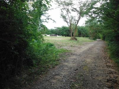 Image No.2-Terre à vendre à Marigot Bay