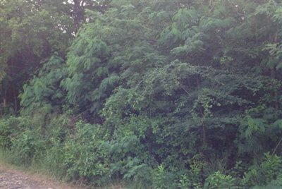 IMG_2004-850x570