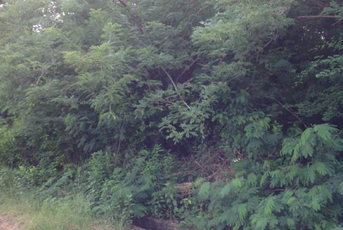 Image No.6-Terre à vendre à Gros Islet