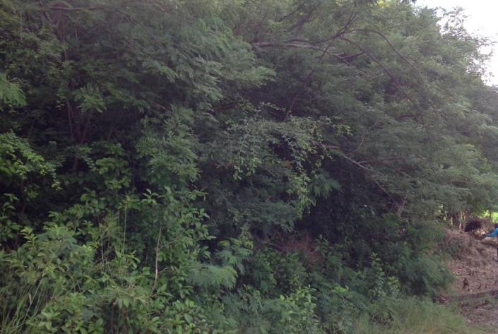 Image No.4-Terre à vendre à Gros Islet