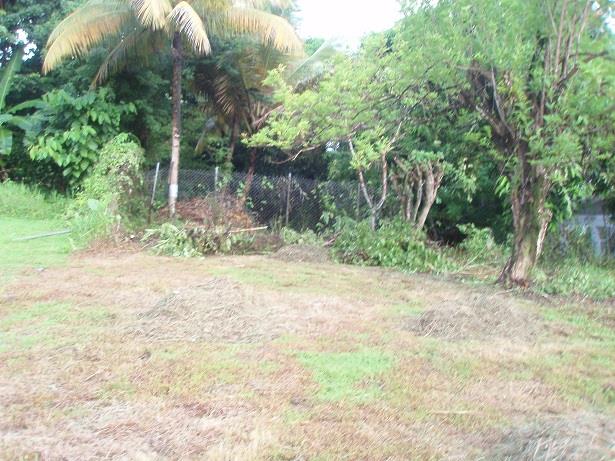 Image No.7-Terre à vendre à Castries