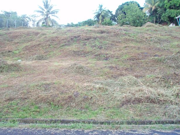 Image No.8-Terre à vendre à Castries