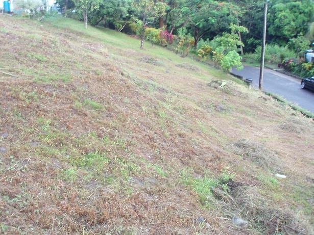 Image No.4-Terre à vendre à Castries