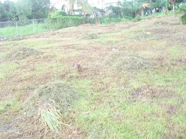Image No.10-Terre à vendre à Castries