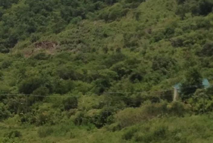 Image No.3-Land for sale