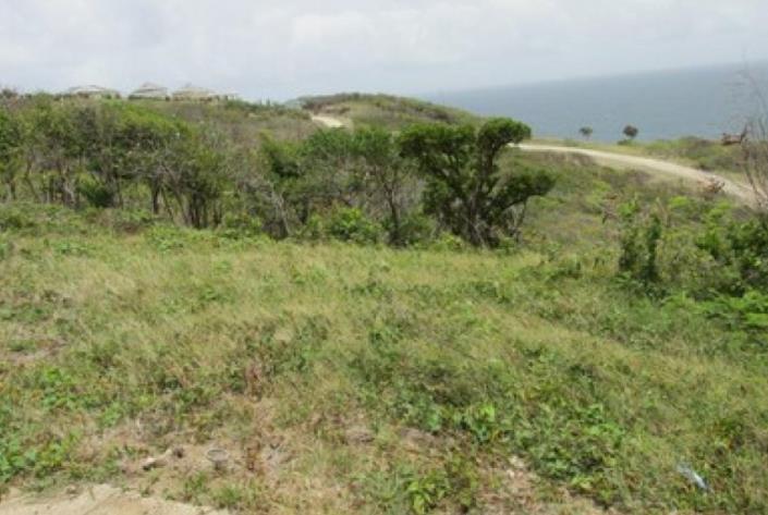 Image No.2-Terre à vendre à Cap Estate