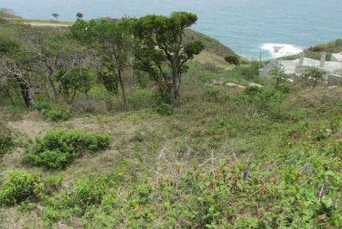 Image No.3-Terre à vendre à Cap Estate