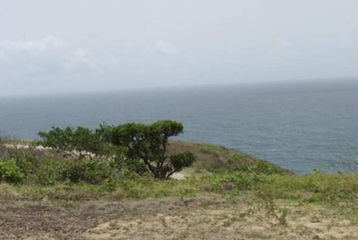 Image No.5-Terre à vendre à Cap Estate