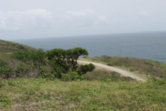 Image No.6-Terre à vendre à Cap Estate