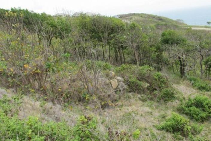 Image No.7-Terre à vendre à Cap Estate