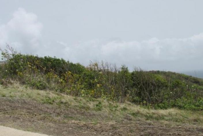 Image No.8-Terre à vendre à Cap Estate