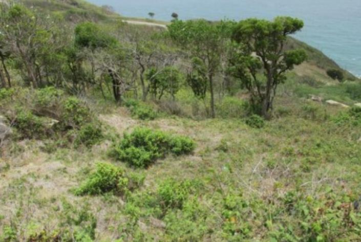 Image No.9-Terre à vendre à Cap Estate