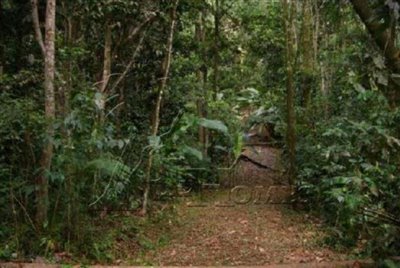 Terre à vendre à Micoud