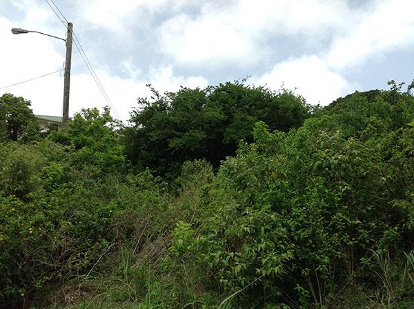 Image No.2-Terre à vendre à Beausejour