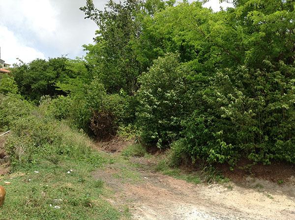 Image No.4-Terre à vendre à Beausejour