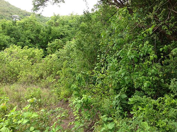 Image No.12-Terre à vendre à Beausejour