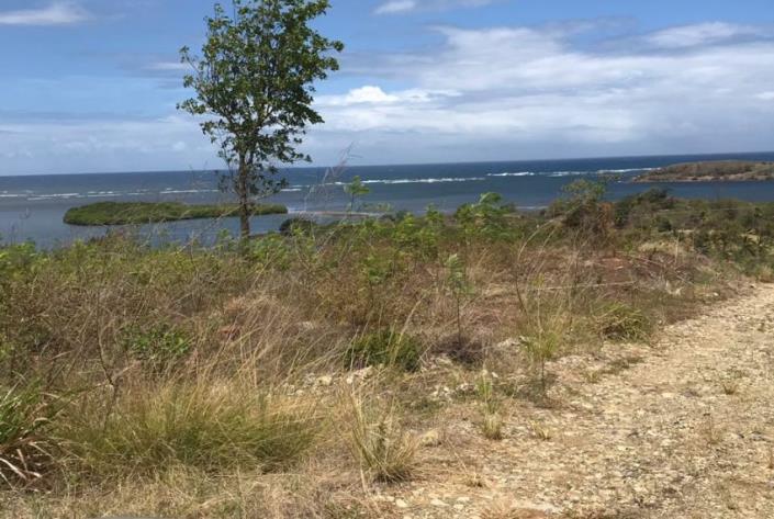 Image No.4-Land for sale