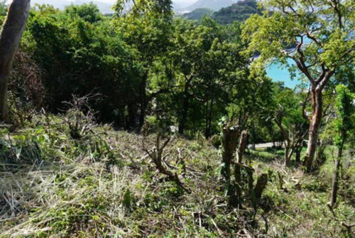 Image No.3-Terre à vendre à Cap Estate