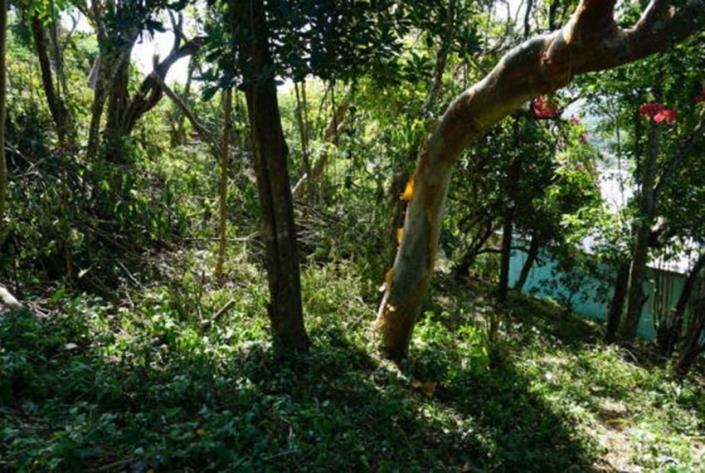 Image No.4-Terre à vendre à Cap Estate