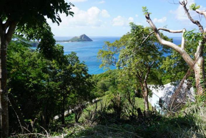 Image No.5-Terre à vendre à Cap Estate